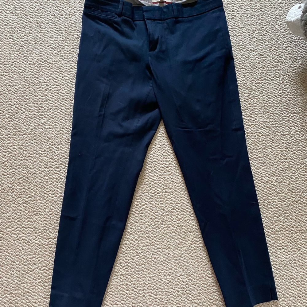 Banana Republic Sloan Navy Pants